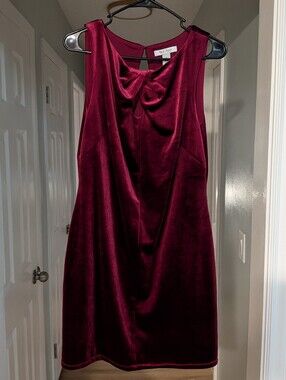 White House Black Market WHBM Sleeveless Velvet Shift Dress - Burgundy Wine 10